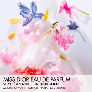 Miss Dior Eau de Parfum Roller-Pearl - Vanille und sinnliche Blumennoten Miss Dior Eau de Parfum Roller-Pearl - Vanille und sinnliche Blumennoten